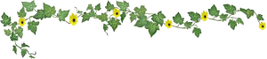 Ivy Banner