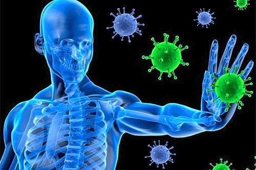 Natural Remedies To Boost Immune System