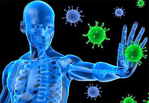 Natural Remedies To Boost Immune System With Video By Sachin Goyal Natural Remedies To Boost Immune System