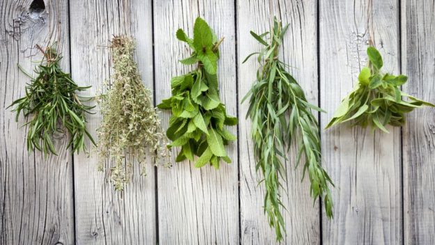 hanging-herbs-drying-herbs