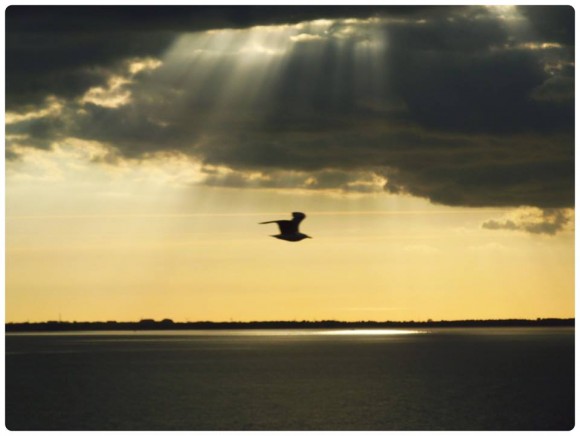 crepuscular-rays-Vera-Kiss-July-2014-e1405372257194 Crepuscular Rays