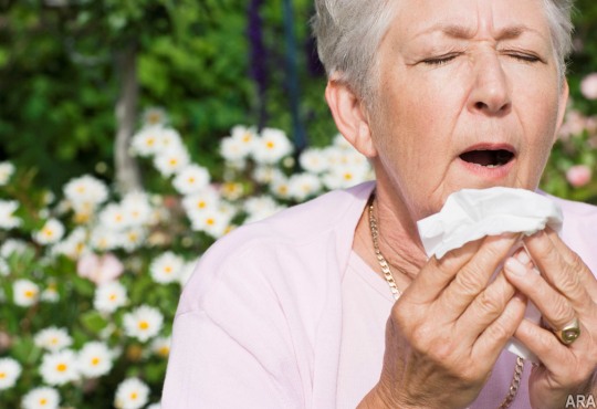 allergies allergies