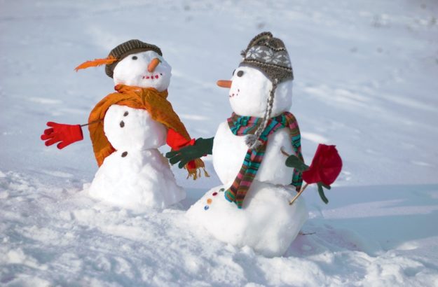 SnowmanSnowwoman Love