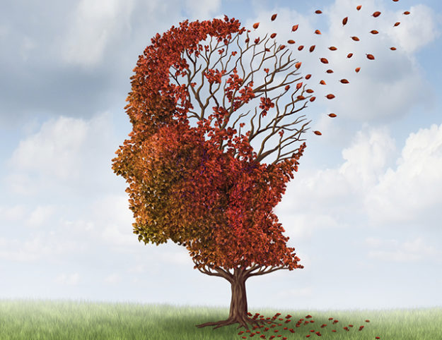 Homeopathy for an Aging Brain