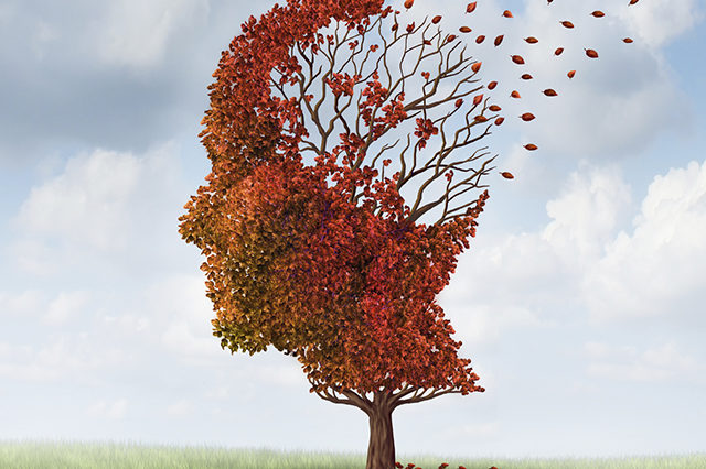 Homeopathy for an Aging Brain