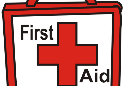 Homeopathic First Aid Kit