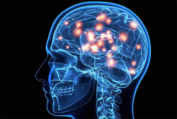 Brain Health Mercury Brain Health Mercury