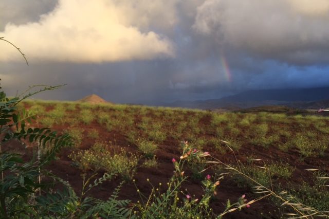 rainbow over San Diego Jamul rainbow over San Diego Jamul