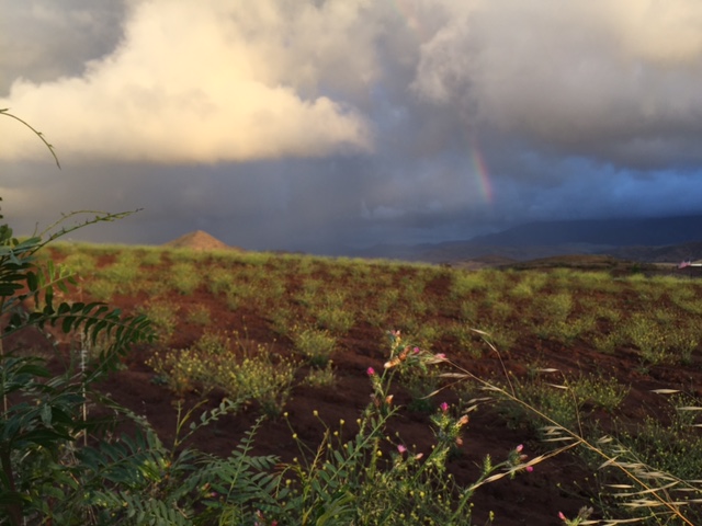 rainbow over San Diego Jamul rainbow over San Diego Jamul