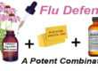 Echinacea angustifolia colloidal silver