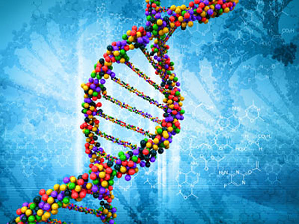 DNA-1