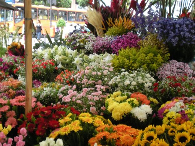 FlowerSTandTravelBob