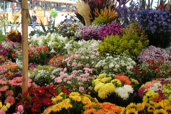 FlowerSTandTravelBob