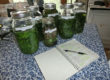 Wild harvesting herbs & making HPUS tinctures