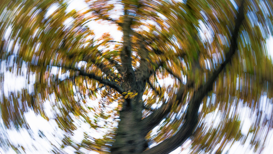 meniere's disease, vertigo