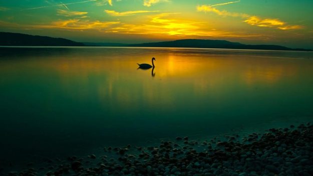 PeaceCalmLake homeopathy for calmness