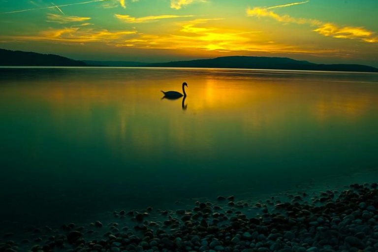 PeaceCalmLake homeopathy for calmness