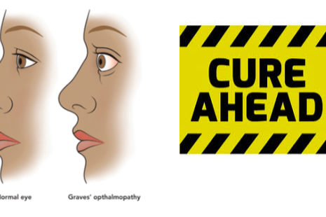 Screen Shot 2019-08-16 at 4.10.50 PM