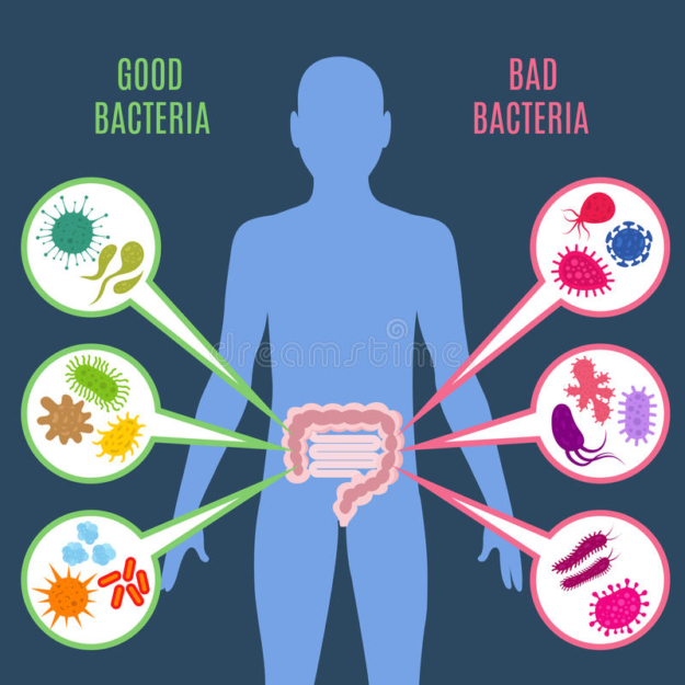 HEALTHY GUT & HOMEOPATHY